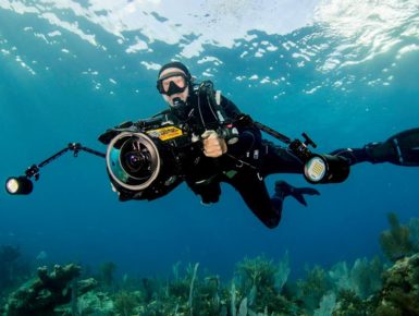 Bigblue dive lights underwater photography Frazier