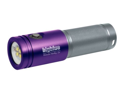 Black Molly IV AL1800XWPTC II Purple