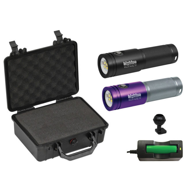 Black Molly IV with Hard Case (Black or Purple)